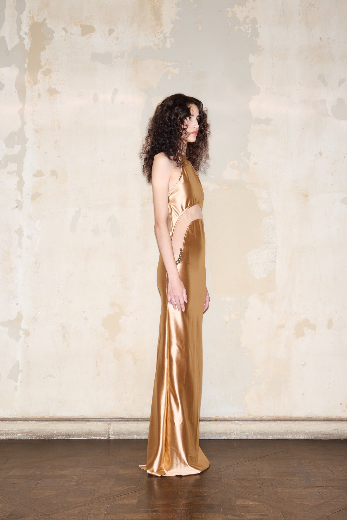 PEDRAZA DRESS