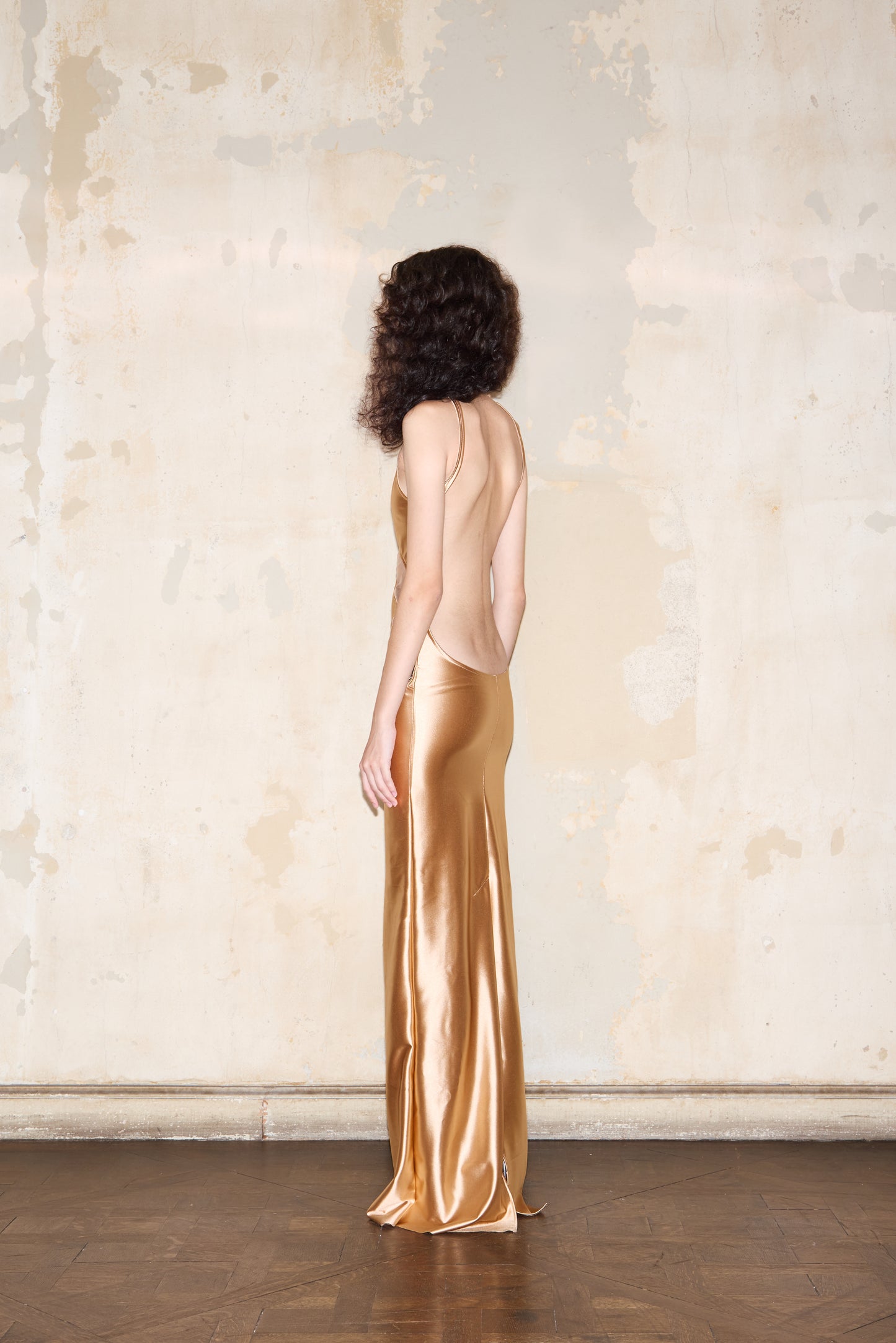 PEDRAZA DRESS