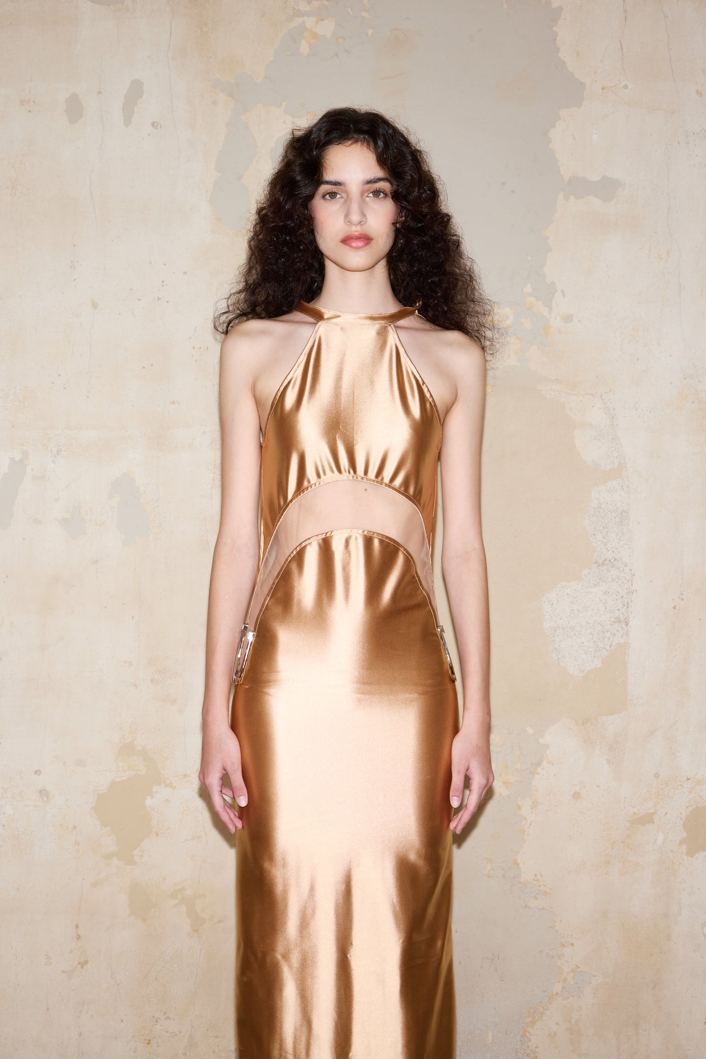 PEDRAZA DRESS